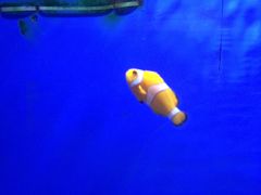 -洛阳龙门海洋馆