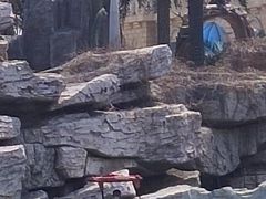 -蓬莱欧乐堡梦幻世界