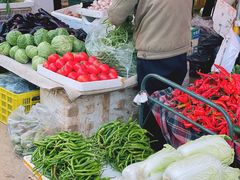 -西北农副产品中心批发市场(广安路店)