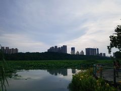 -月湖风景区