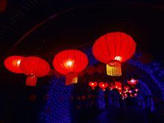 景点-大塘金香草谷