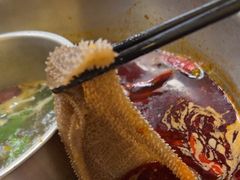 -金鼎雪山牦牛杂火锅(理县总店)