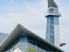 -盐城丹顶鹤湿地生态旅游区