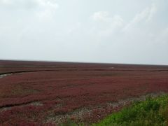 -红海滩国家风景廊道