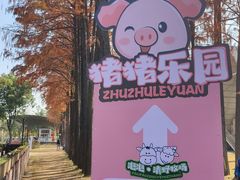 -金银湖国家城市湿地公园