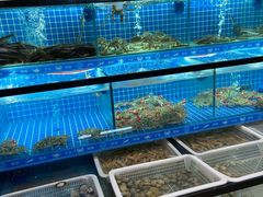 大堂-周记老沈阳焦火鸡架
