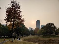 -后襄河公园