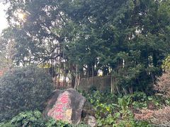 -乌山风景区