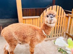 -瑞博尔花园酒店(太周创新产业园店)