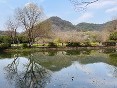 -八卦田遗址公园