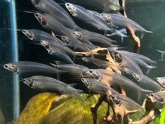 -太平洋海底世界