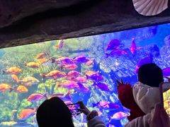 -南昌融创海世界