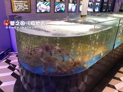 -蟹之国·精品蟹料理(极地店)