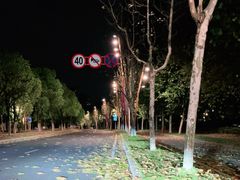 -南京眼步行桥