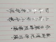 -上海浦东新区乐乡公墓