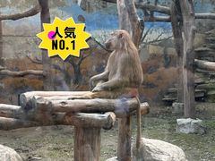 -成都动物园