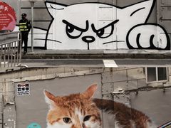 -方浜中路45弄小区