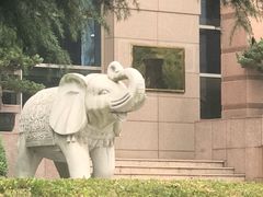 -中国人民银行(上海市分行)