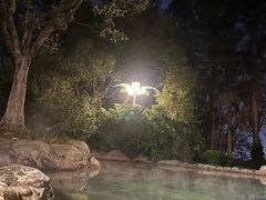 -湖泉半山温泉