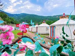 -博山九龙峪风景区