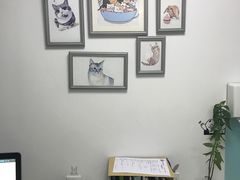 -莘程宠物医院(金山店)
