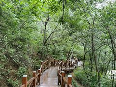 -大岭沟猕猴桃谷风景区