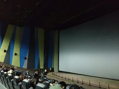 -天幕新彩云国际影城(激光巨幕店)