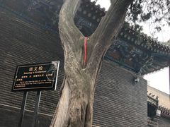 -关林