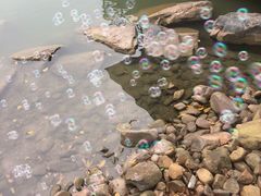 -上海怡沁园度假酒店