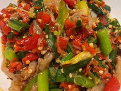 鸭掌筋-壹盏灯(惠农店)