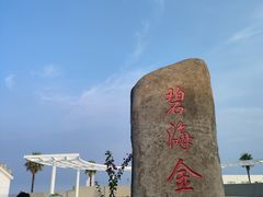 -碧海金沙