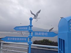 -海埂大坝