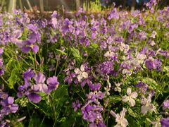 -四里河滨水生态公园