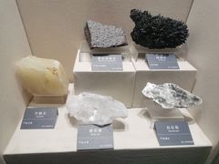 -安徽省地质博物馆