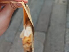 -舌尖葱包烩