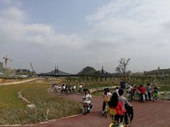 -松山湖南湖湾露营营地