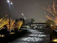 -金海湾滨江公园