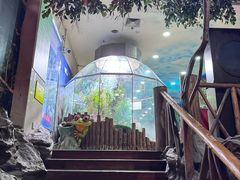 -上海大自然野生昆虫馆(东方明珠·爬宠昆虫探索中心)