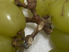 -JustFresh捷德鲜超市(西康店)