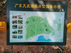 -天鹿湖森林公园