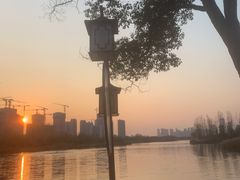 -洋湖国家湿地公园