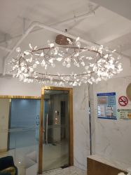 -潘多拉Hairsalon
