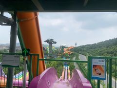 -苏州乐园森林水世界