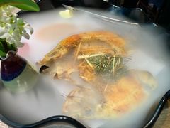 -雀舞云南菜(乐客城店)