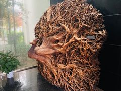 -长沙简牍博物馆