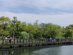 -苏州太湖国家湿地公园