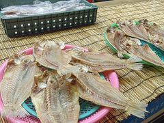 -西归浦每天偶来市场