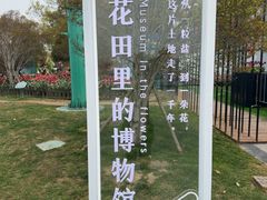 -荷兰花海