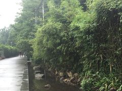 -郫都区农科村景区