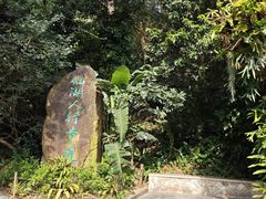 -深圳仙湖植物园